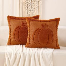 VAKADO Fall Thanksgiving Throw Pillow Covers 18x18 Set of 2 Outdoor Decoration Pumpkin Couch Orange Decorative Home Decor for Bed Sofa Bedroom Office