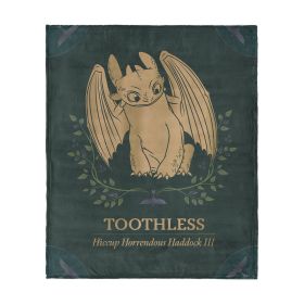 How to Train Your Dragon Hiccup and Toothless Silk Touch Throw Blanket 60x80 inches